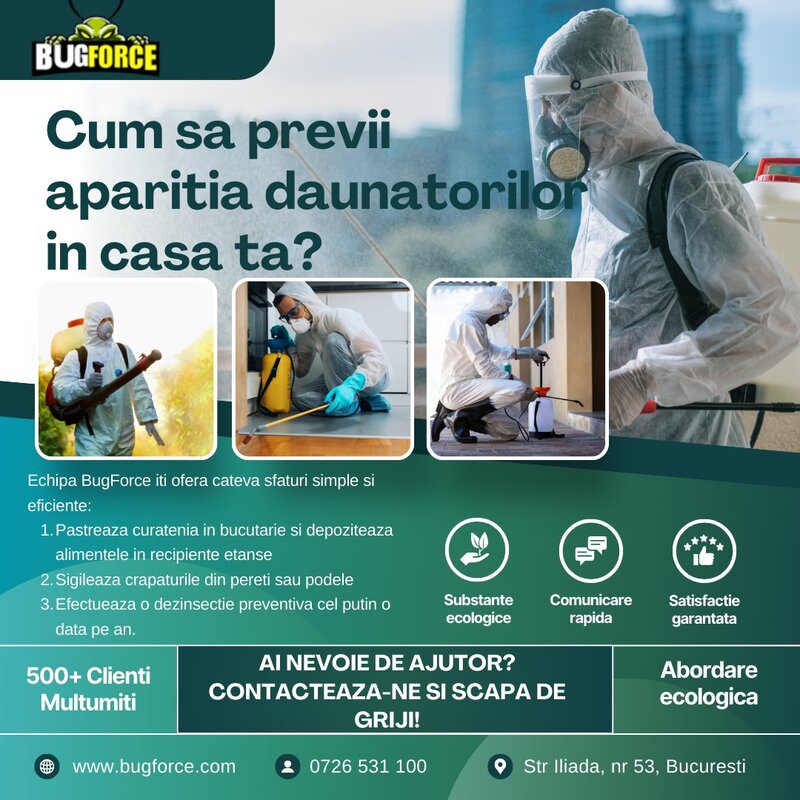 Bug Force - Servicii DDD