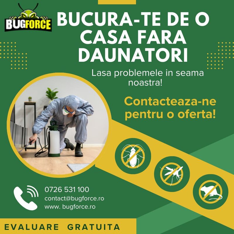Bug Force - Servicii DDD