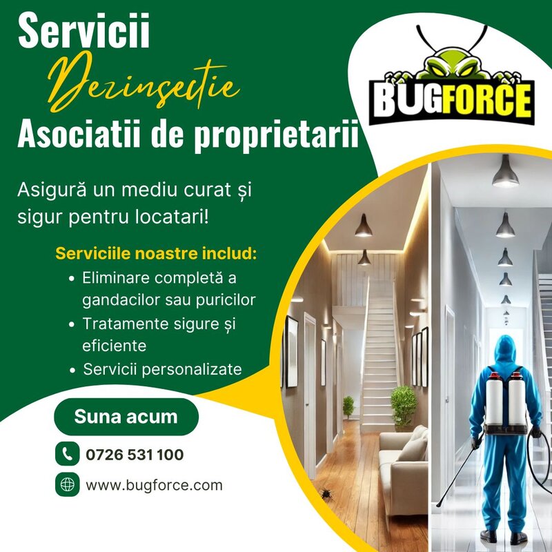 Bug Force - Servicii DDD